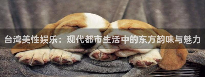 新航娱乐注册