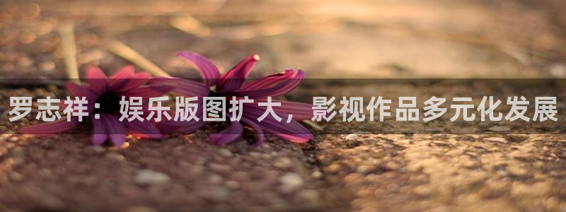 新航娱乐官网