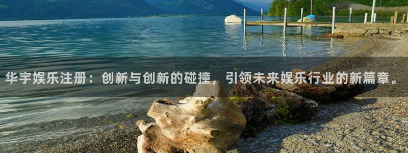 新航娱乐官网登录入口