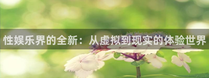 新航娱乐官网