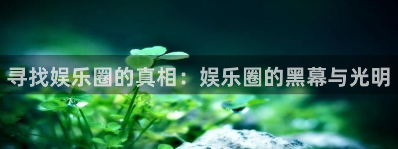 新航娱乐官网登录入口