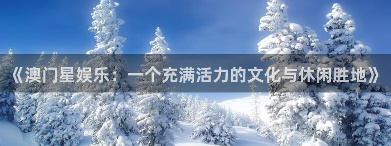 新航娱乐官网登录入口