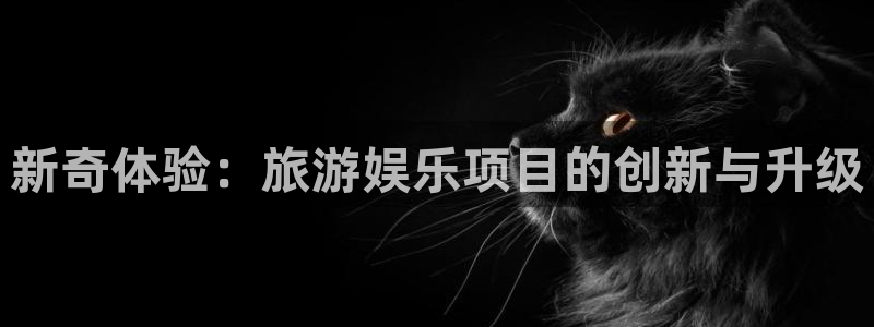 新航娱乐登录地址
