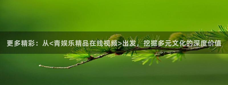 新航娱乐官网