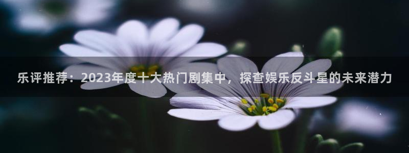 新航娱乐注册