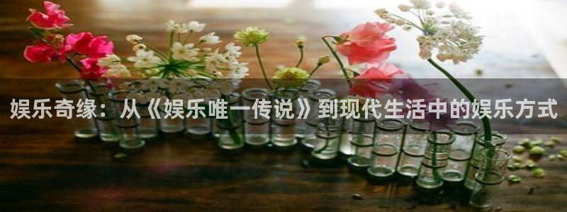 新航娱乐官网登录入口