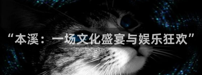 新航娱乐官网登录入口