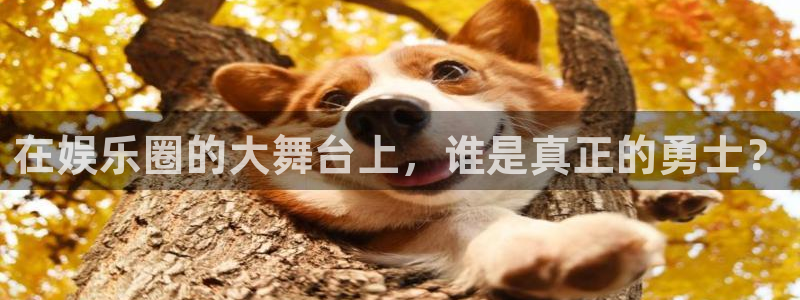 新航娱乐官网