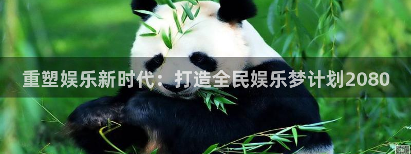 新航娱乐官网登录入口