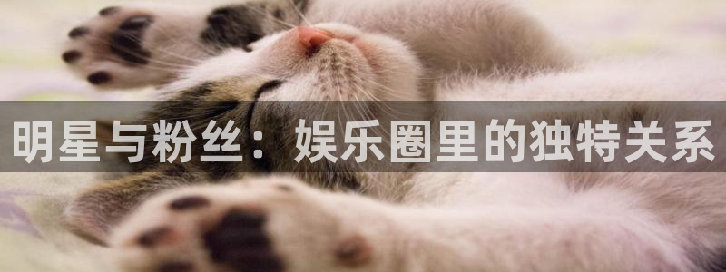 新航娱乐官网登录入口